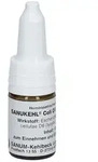 Sanukehl Coli D 6 Tropfen 10 ml