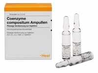 Coenzyme Compositum Ampullen 100 St