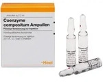 Coenzyme Compositum Ampullen 100 St