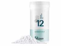 Biochemie Pflüger 12 Calcium sulfuricum D 6 Pulver 100 g