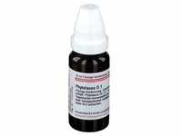 Phytolacca D 1 Dilution 20 ml