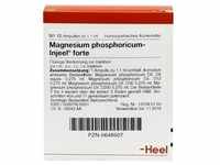 Magnesium Phosphoricum Injeel forte Ampullen 10 St