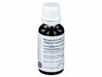Natrium Muriaticum D 12 Dilution 20 ml