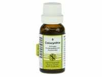 Colocynthis Komplex Nr.8 Dilution 50 ml