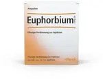 Euphorbium Compositum SN Ampullen 100 St