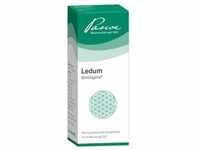 Ledum Similiaplex Tropfen 50 ml