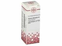 Paeonia Officinalis D 6 Dilution 20 ml