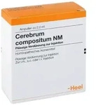 Cerebrum Compositum NM Ampullen 100 St