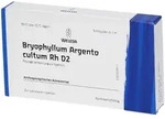 Bryophyllum Argento cultum Rh D 2 Ampullen 8x1 ml