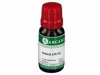 Arnica LM 6 Dilution 10 ml