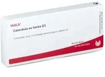 Calendula EX Herba D 3 Ampullen 10x1 ml