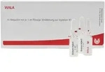 Folliculi Lymphatici aggregati GL D 5 Ampullen 10x1 ml