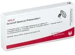 Iscucin quercus Potenzreihe I Ampullen 10x1 ml