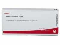 Vesica Urinaria GL D 6 Ampullen 10x1 ml
