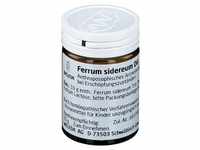 Ferrum Sidereum D 6 Trituration 20 g