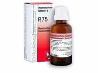 DYSMENORRHOE-Gastreu S R75 Mischung 22 ml