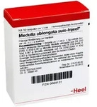 Medulla Oblongata suis Injeel Ampullen 10 St