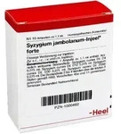 Syzygium Jambolanum Injeel forte Ampullen 10 St