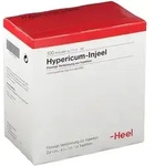 Hypericum Injeel Ampullen 100 St