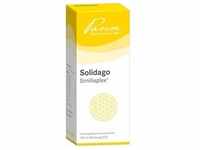 Solidago Similiaplex Tropfen 100 ml