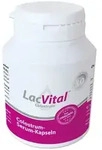 Lacvital Colostrum Kapseln 60 St