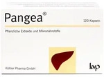 Pangea Kapseln 120 St