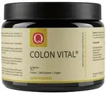 Colon Vital Bio Pulver 240 g