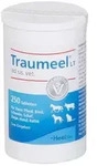 Traumeel LT ad us.vet.Tabletten 250 St Tabletten