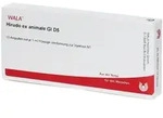 Hirudo EX animale GL D 5 Ampullen 10x1 ml