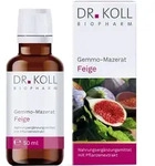 Gemmomazerat Feige Bio 50 ml Tropfen