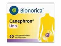 Canephron Uno überzogene Tabletten 60 St Überzogene