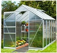EPH 282019, EPH Vitavia Gew&auml;chshaus Apollo Tomatenhaus Silber, 6 mm, 199x195x207 cm