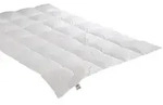 Badenia &raquo;Irisette Nora&laquo; Daunendecke medium / 155x200 cm / 610g