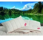Hefel &raquo;Bio-Wool&laquo; Kissen 40x60 cm / 420g