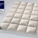 Billerbeck &raquo;108 Duchessa&laquo; Daunendecken Mono / 135x200 cm 455g