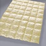 Billerbeck &raquo;100 Belvedere&laquo; Daunendecken Kassette II 155x220 cm 864g