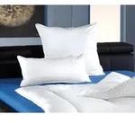 Frankenstolz &raquo;Texas&laquo; Kissen 40x40 cm / Texas-Comforel&reg; / 200 g