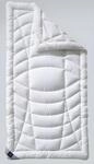Billerbeck &raquo;725 Climatraum&laquo; Topper 100x200 cm