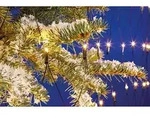 EGB LED-Lichternetz 2m x 2m 240 ww LED 4027236043447