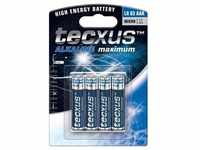 Tecxus LR03/AAA (Micro) - Alkali-Mangan Batterie (Alkaline), 1,5 V