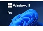 Windows 11 Pro