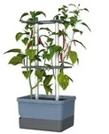 Gusta Garden Chili-Pflanztopf Charly Chili, ca. B35/H69/T28 cm, Blau