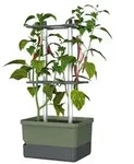 Gusta Garden Chili-Pflanztopf Charly Chili, ca. B35/H69/T28 cm, Dunkelgr&uuml;n