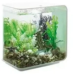 biOrb&reg; Aquarium FLOW 15 LED, Wei&szlig;