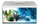AQUAEL Aquarien-Set Leddy Day & Night 60 2.0, 54 l, ca. B60/H30/T30 cm, Wei&szlig;