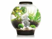 biOrb® Aquarium CLASSIC 30 LED, Schwarz