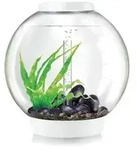 biOrb&reg; Aquarium CLASSIC 60 LED, Wei&szlig;