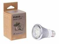 Venso LED-Pflanzenlampe Indoor Plants, 6 W, Kupfer|Silber
