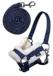 HKM KIDS Hobby Horsing Halfter und Strick, dunkelblau