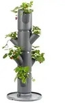 Gusta Garden Erdbeerbaum Sissi Strawberry Starter, ca. B32/H77/T27 cm, Dunkelgrau